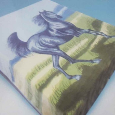 Frazada Pierre Balmain Piel con...