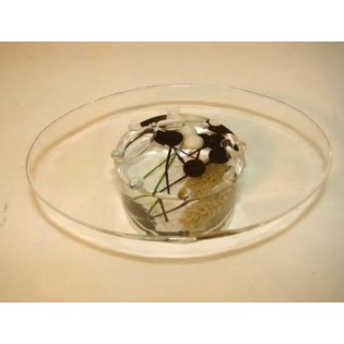 Jabonera Formas dec.... 2